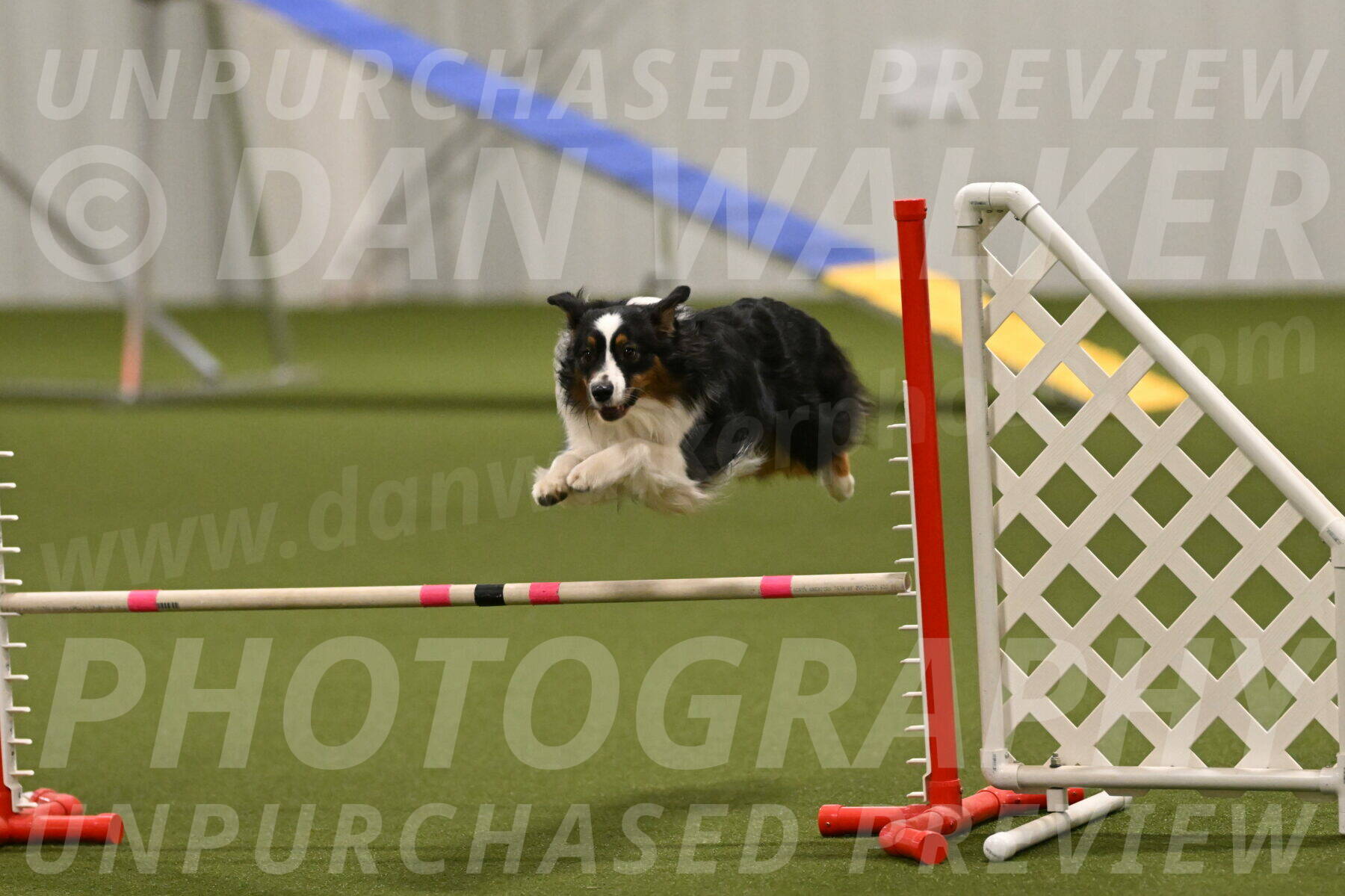 Lily-Claudia-Brydon-07876