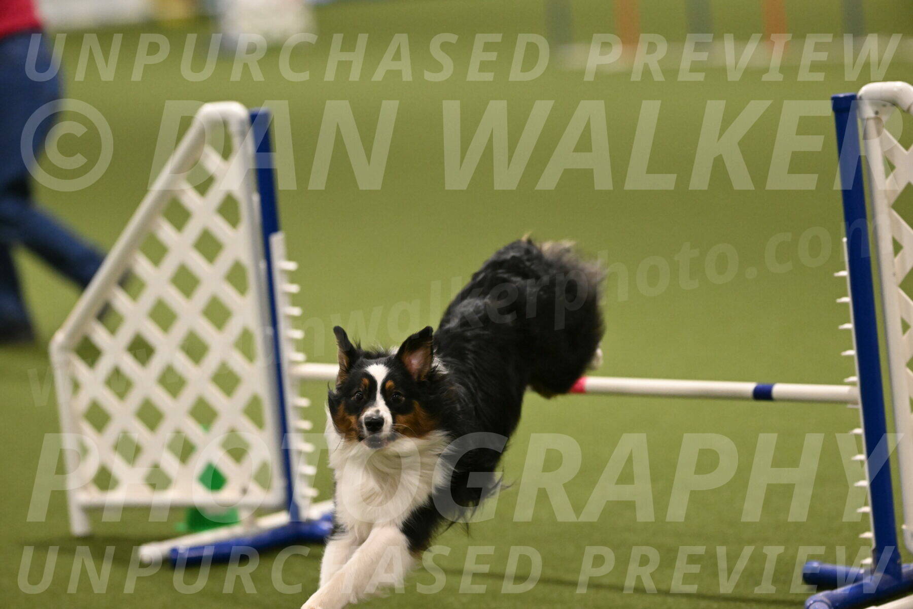 Lily-Claudia-Brydon-07877