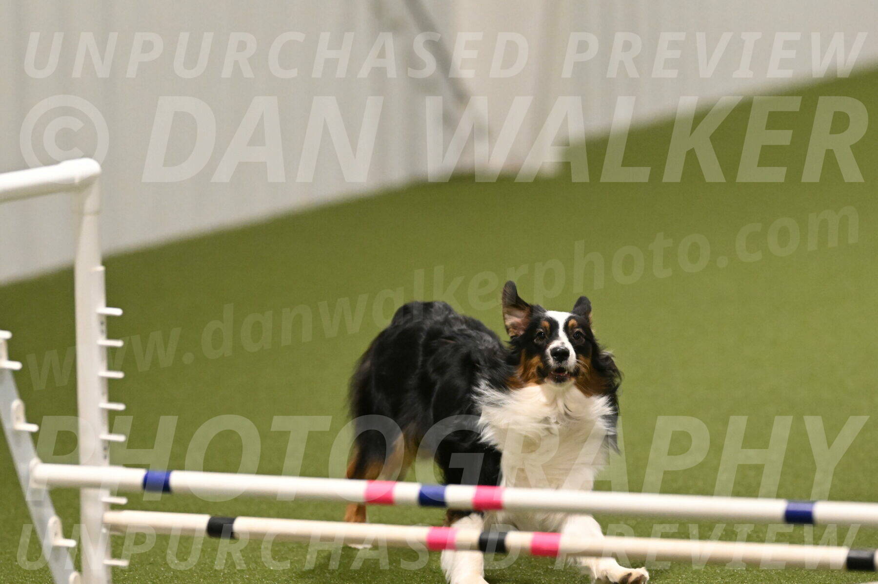 Lily-Claudia-Brydon-07878