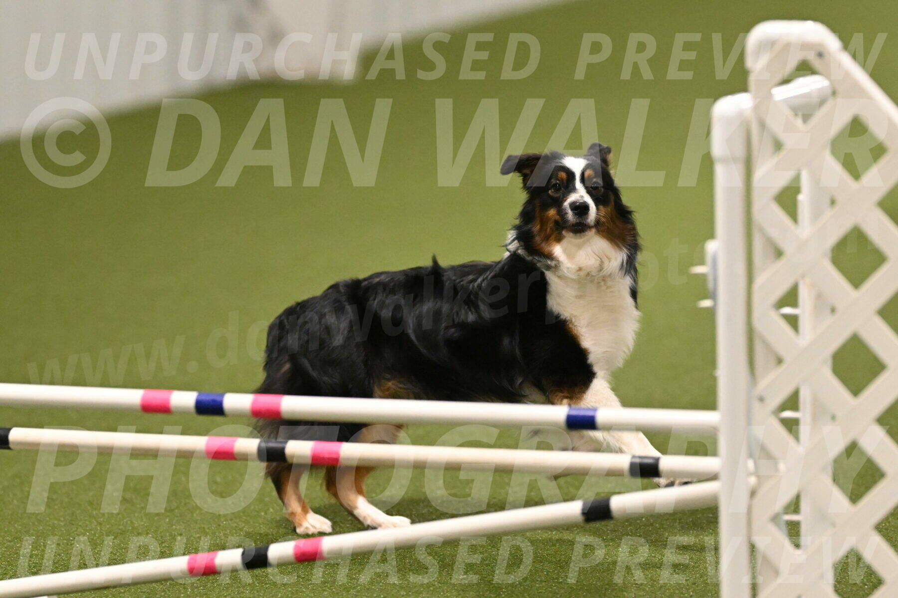 Lily-Claudia-Brydon-07879