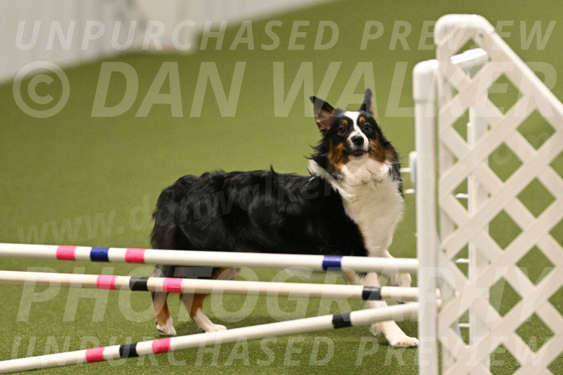 Lily-Claudia-Brydon-07880