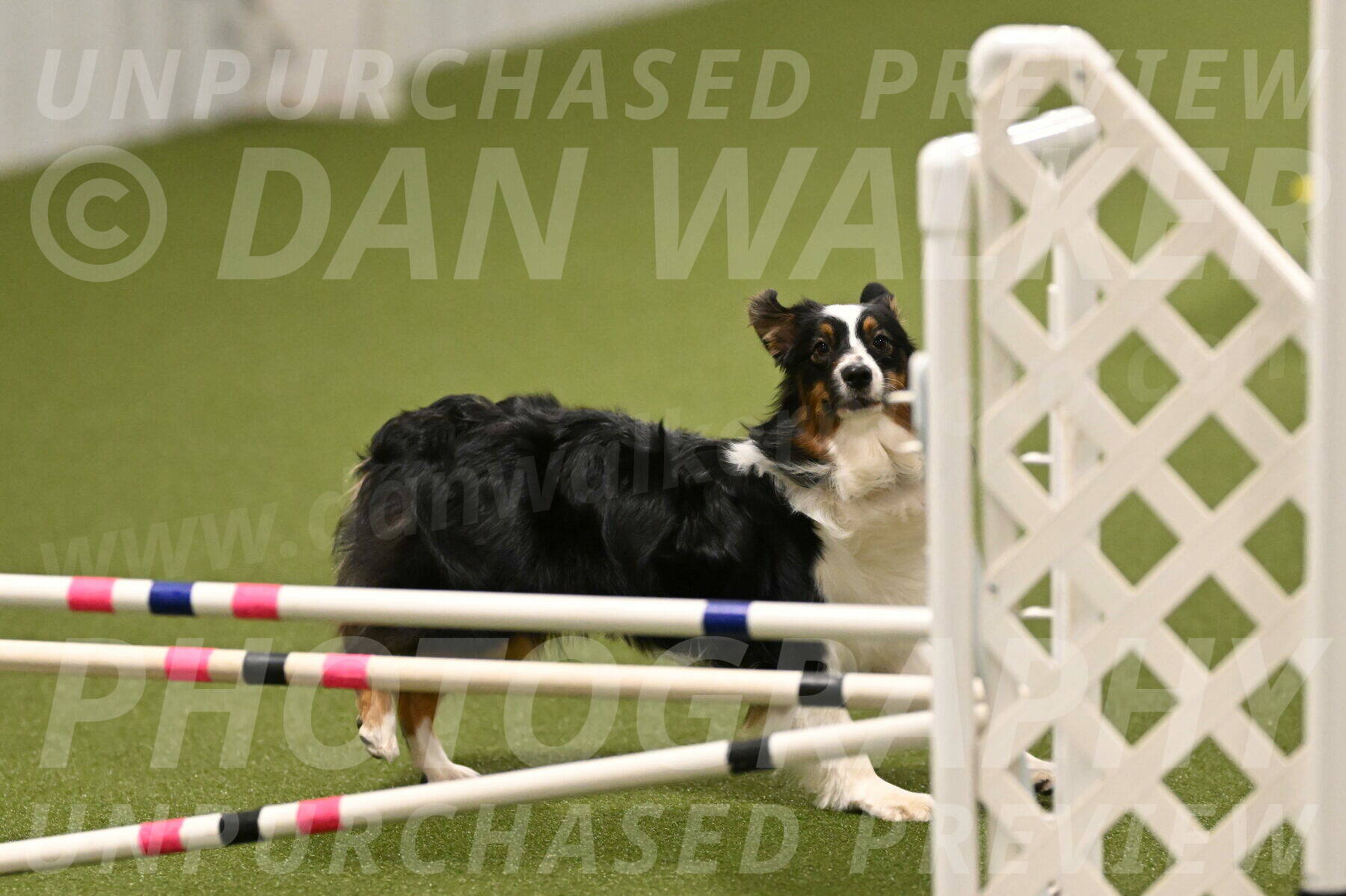 Lily-Claudia-Brydon-07881