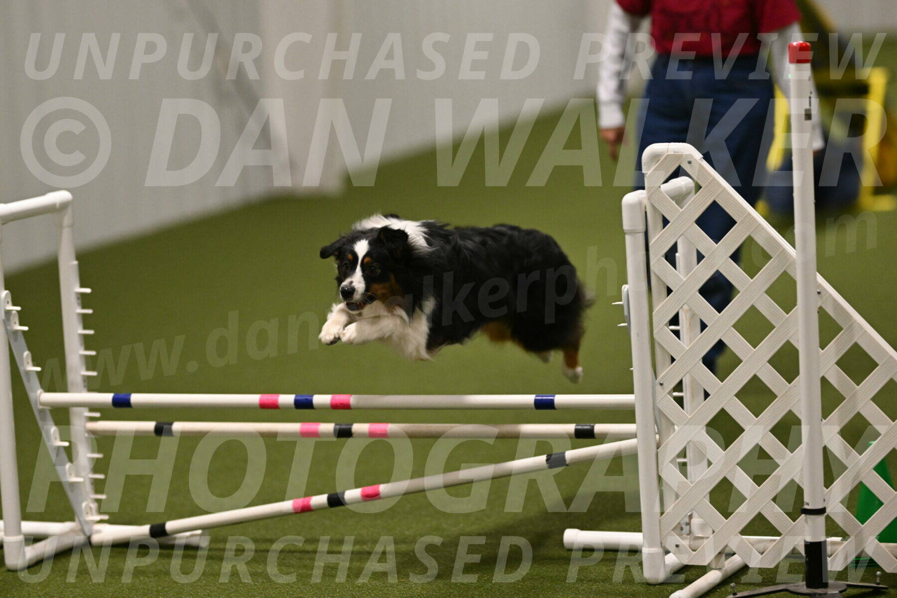 Lily-Claudia-Brydon-07882