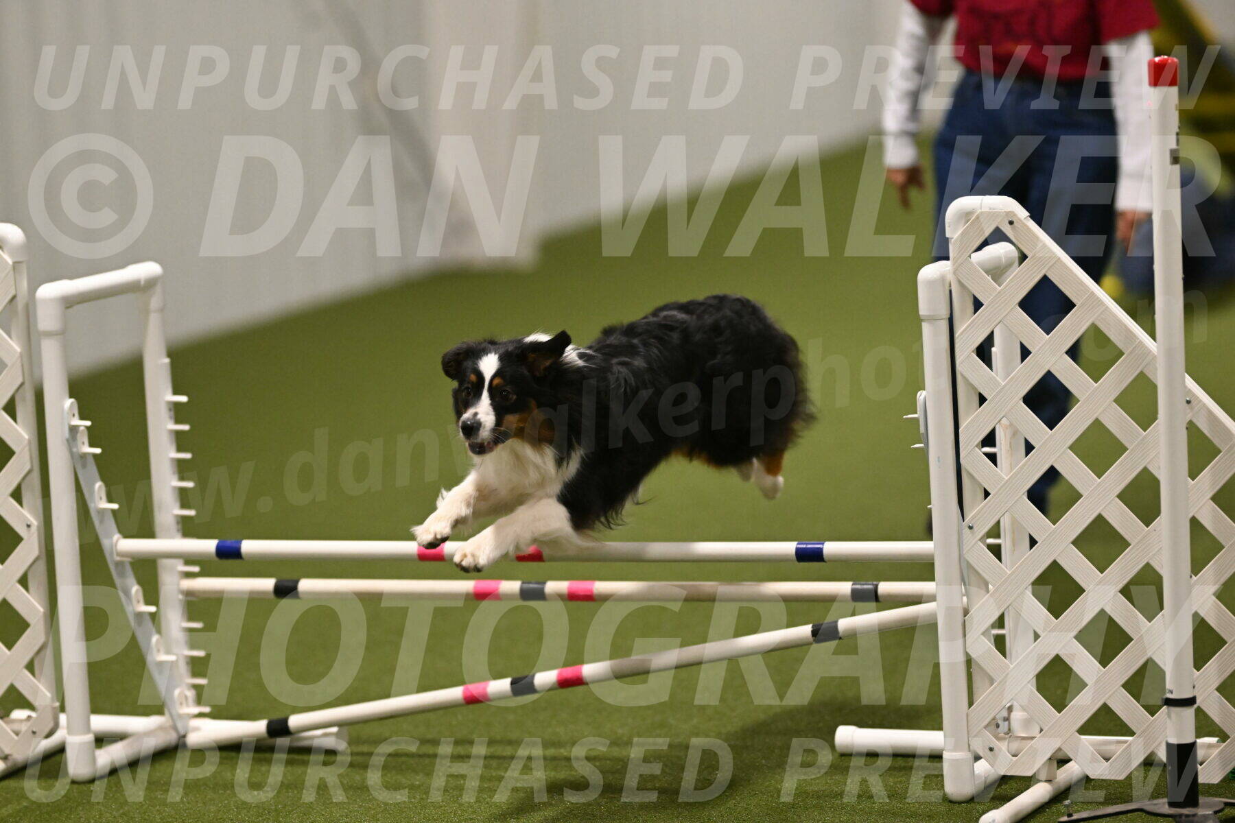 Lily-Claudia-Brydon-07883