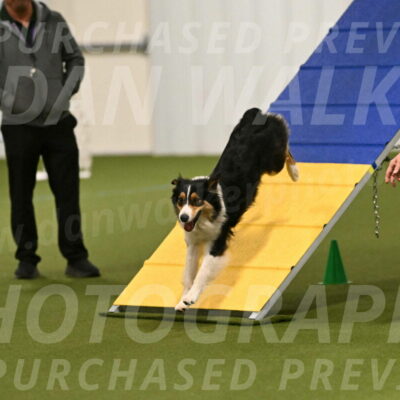 Lovey-Dovey-Yvette-Shipman-06644