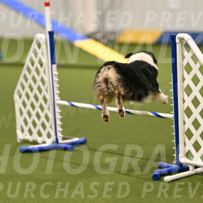 Lovey-Dovey-Yvette-Shipman-06645