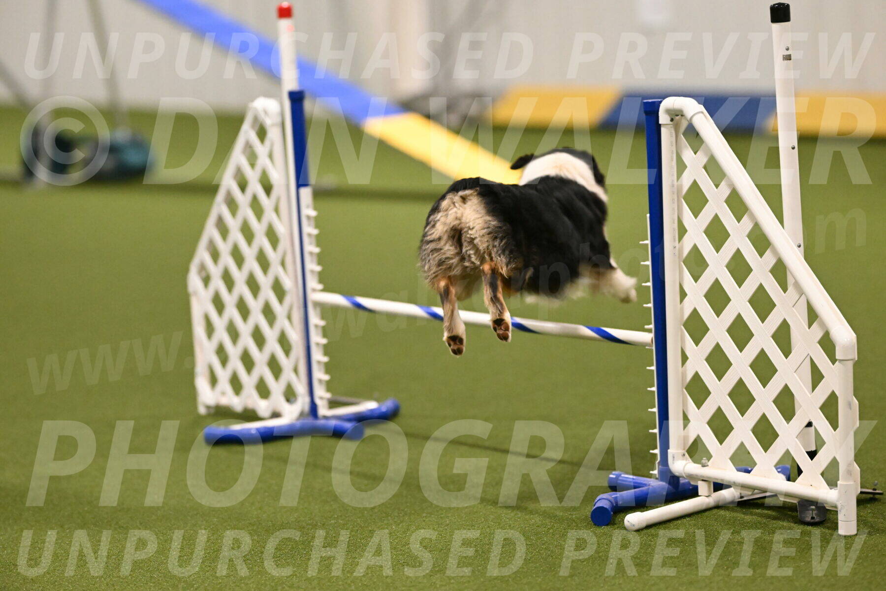 Lovey-Dovey-Yvette-Shipman-06645