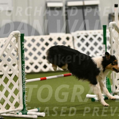 Lovey-Dovey-Yvette-Shipman-06646