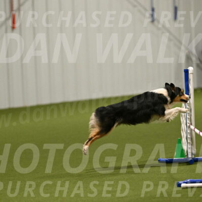 Lovey-Dovey-Yvette-Shipman-06647