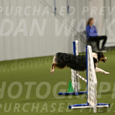 Lovey-Dovey-Yvette-Shipman-06648