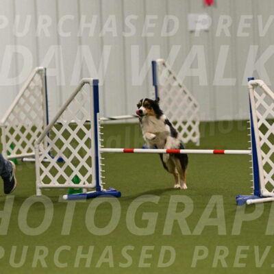 Lovey-Dovey-Yvette-Shipman-06649