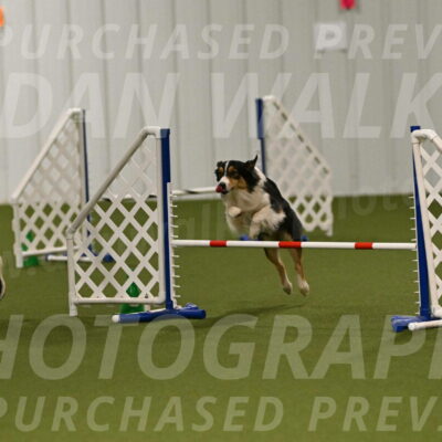 Lovey-Dovey-Yvette-Shipman-06650