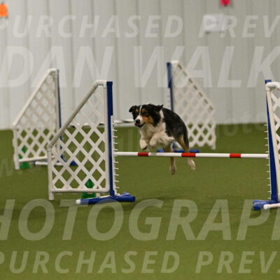 Lovey-Dovey-Yvette-Shipman-06651