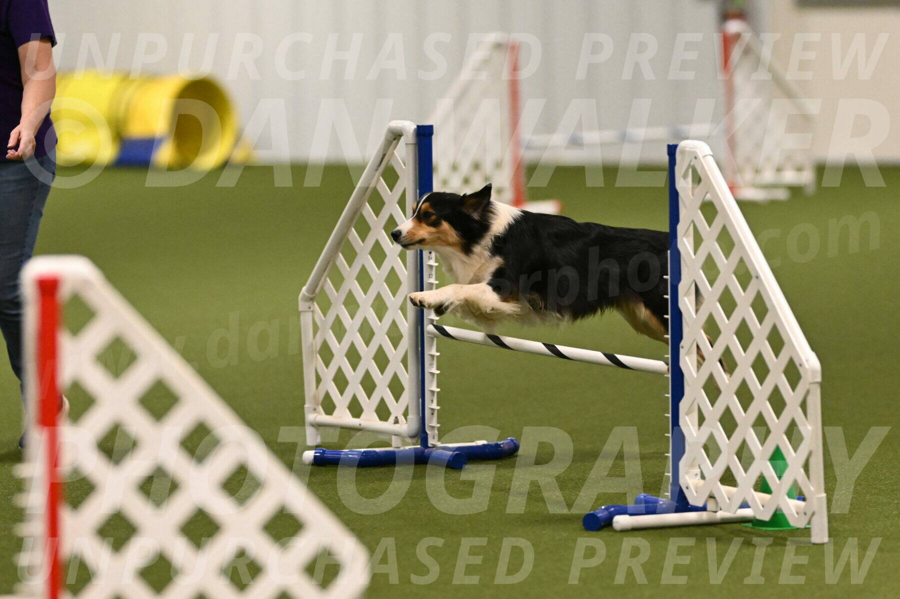 Lovey-Dovey-Yvette-Shipman-06652