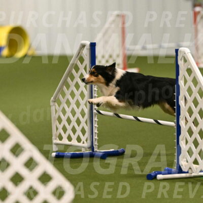 Lovey-Dovey-Yvette-Shipman-06652