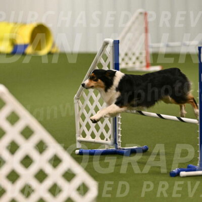 Lovey-Dovey-Yvette-Shipman-06653