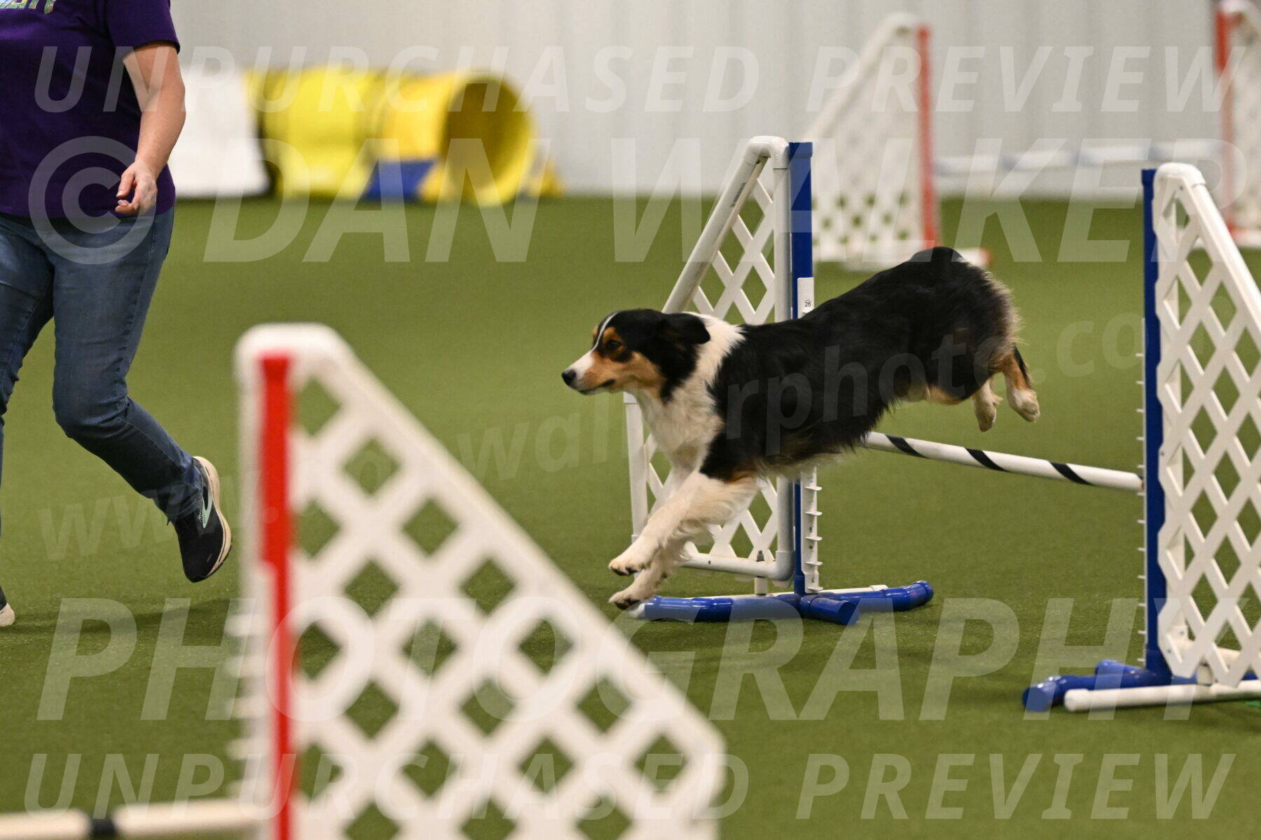 Lovey-Dovey-Yvette-Shipman-06654