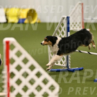 Lovey-Dovey-Yvette-Shipman-06654