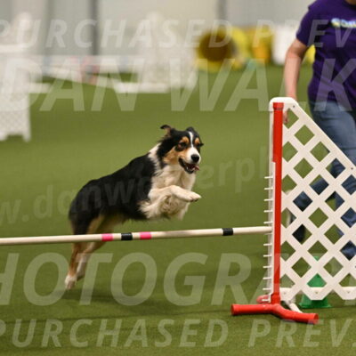 Lovey-Dovey-Yvette-Shipman-06655