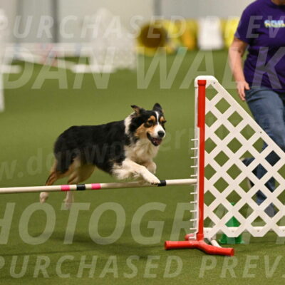 Lovey-Dovey-Yvette-Shipman-06656