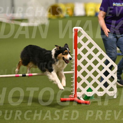 Lovey-Dovey-Yvette-Shipman-06657