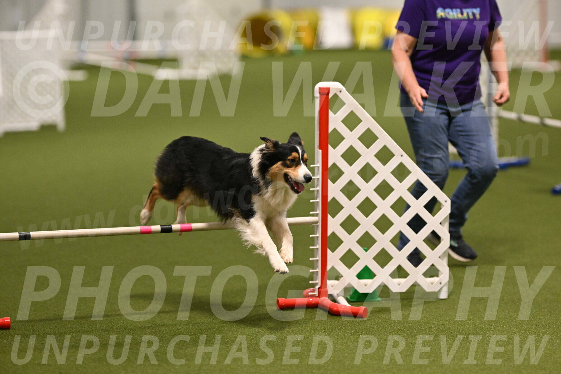 Lovey-Dovey-Yvette-Shipman-06657