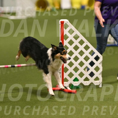 Lovey-Dovey-Yvette-Shipman-06658