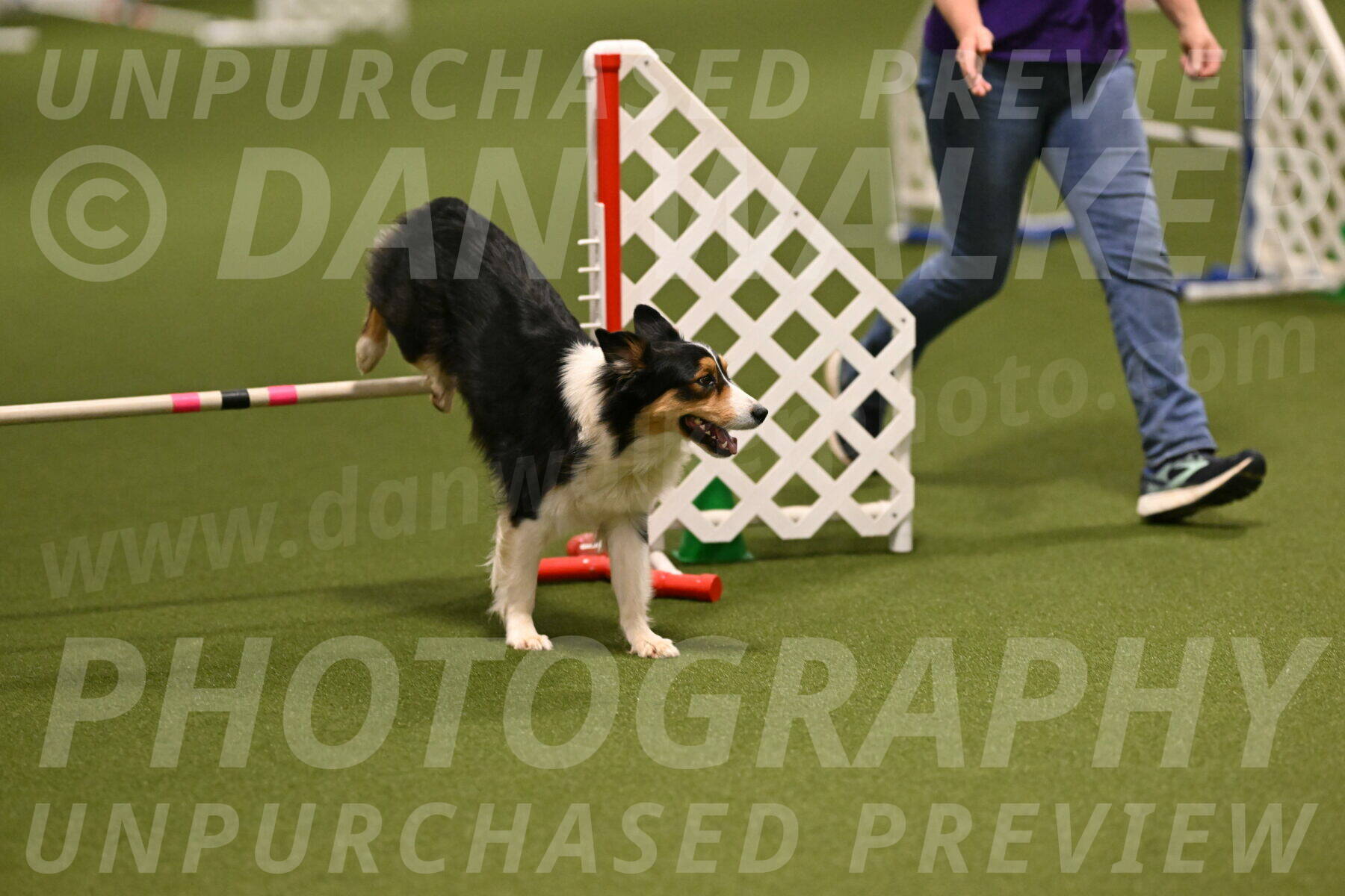 Lovey-Dovey-Yvette-Shipman-06659