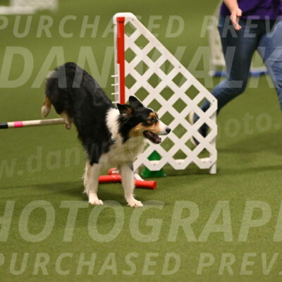 Lovey-Dovey-Yvette-Shipman-06659