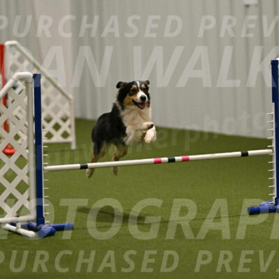 Lovey-Dovey-Yvette-Shipman-06661