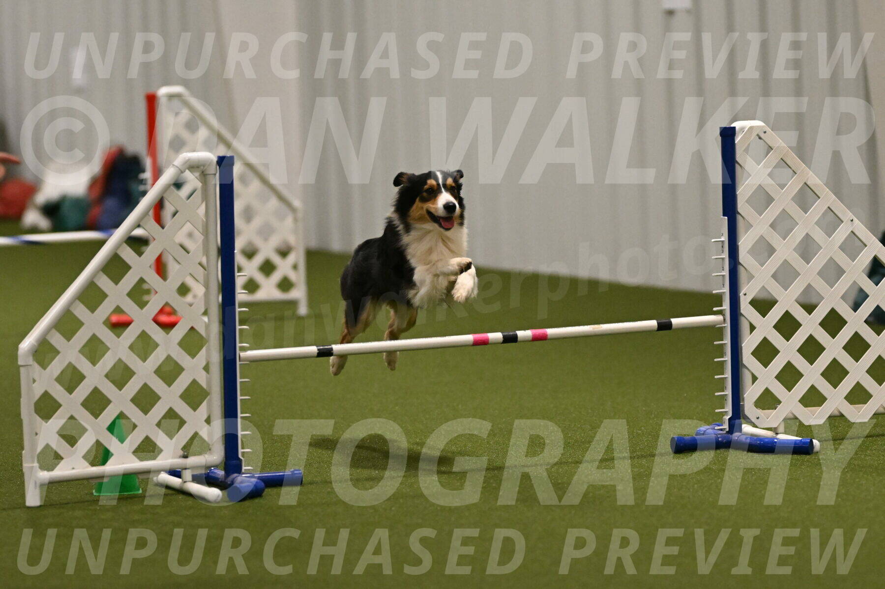 Lovey-Dovey-Yvette-Shipman-06661