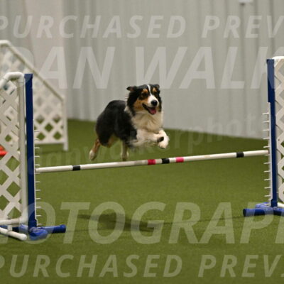 Lovey-Dovey-Yvette-Shipman-06662