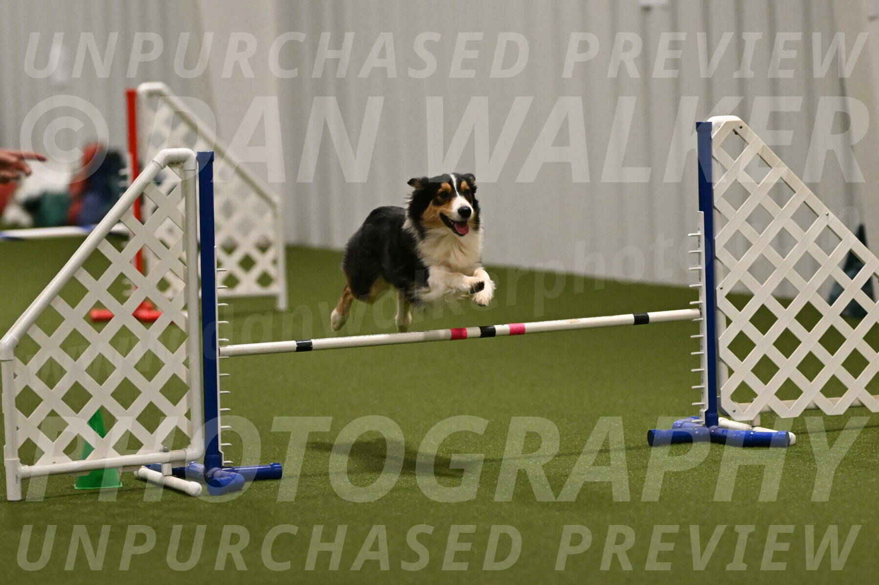 Lovey-Dovey-Yvette-Shipman-06662