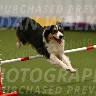 Lovey-Dovey-Yvette-Shipman-06663