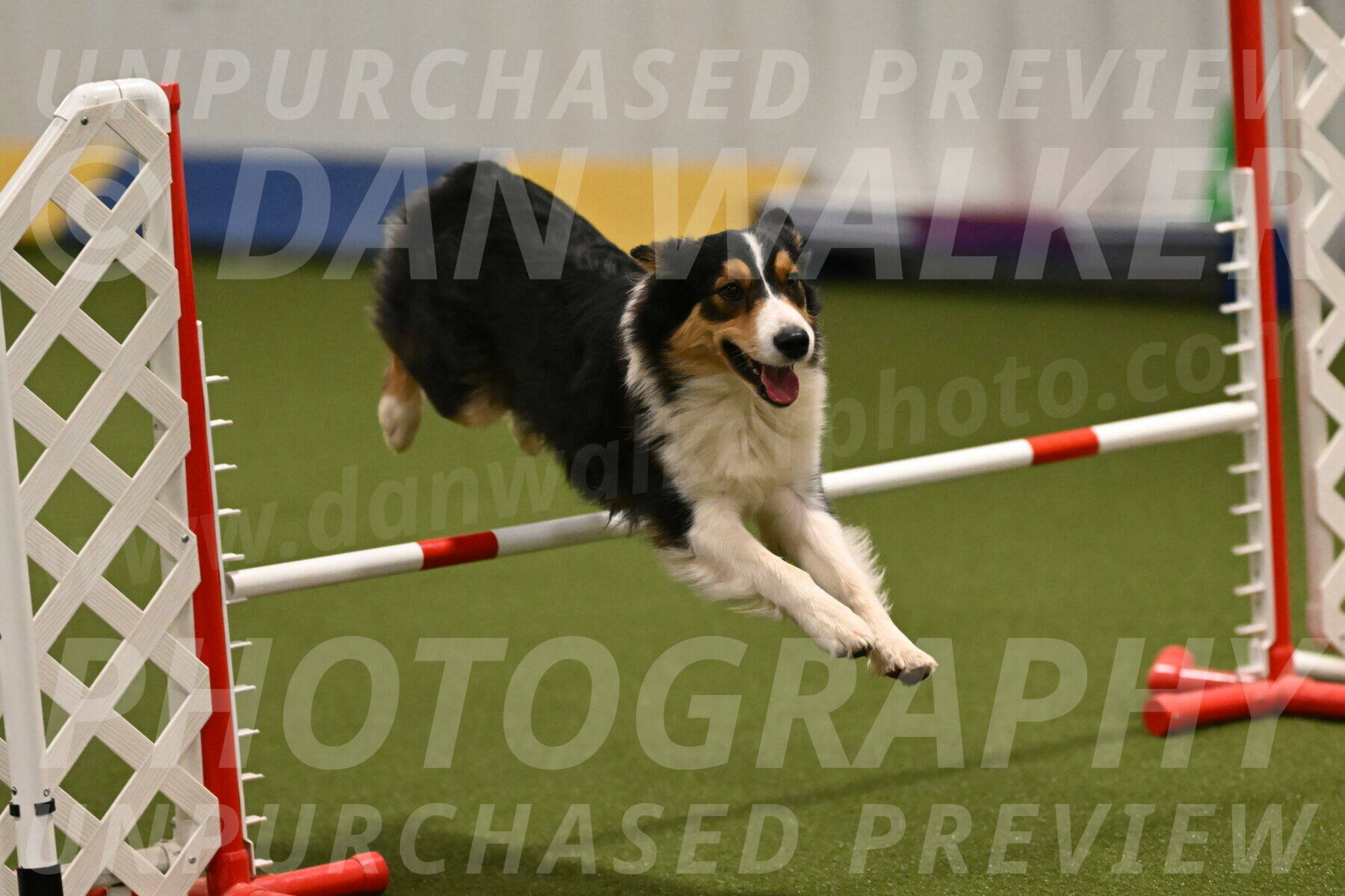 Lovey-Dovey-Yvette-Shipman-06663