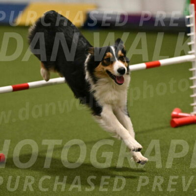 Lovey-Dovey-Yvette-Shipman-06664