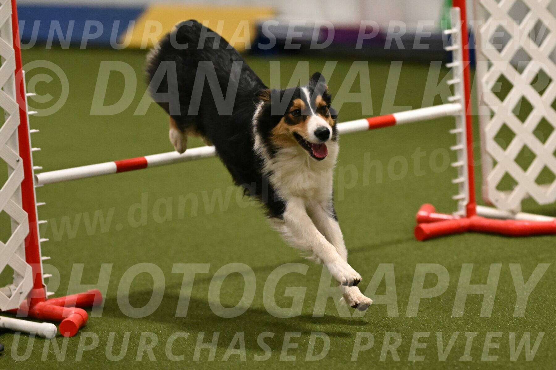 Lovey-Dovey-Yvette-Shipman-06664