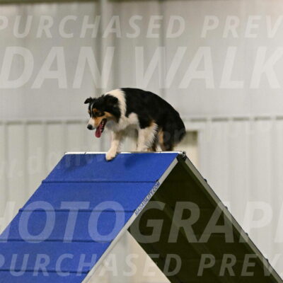 Lovey-Dovey-Yvette-Shipman-06666