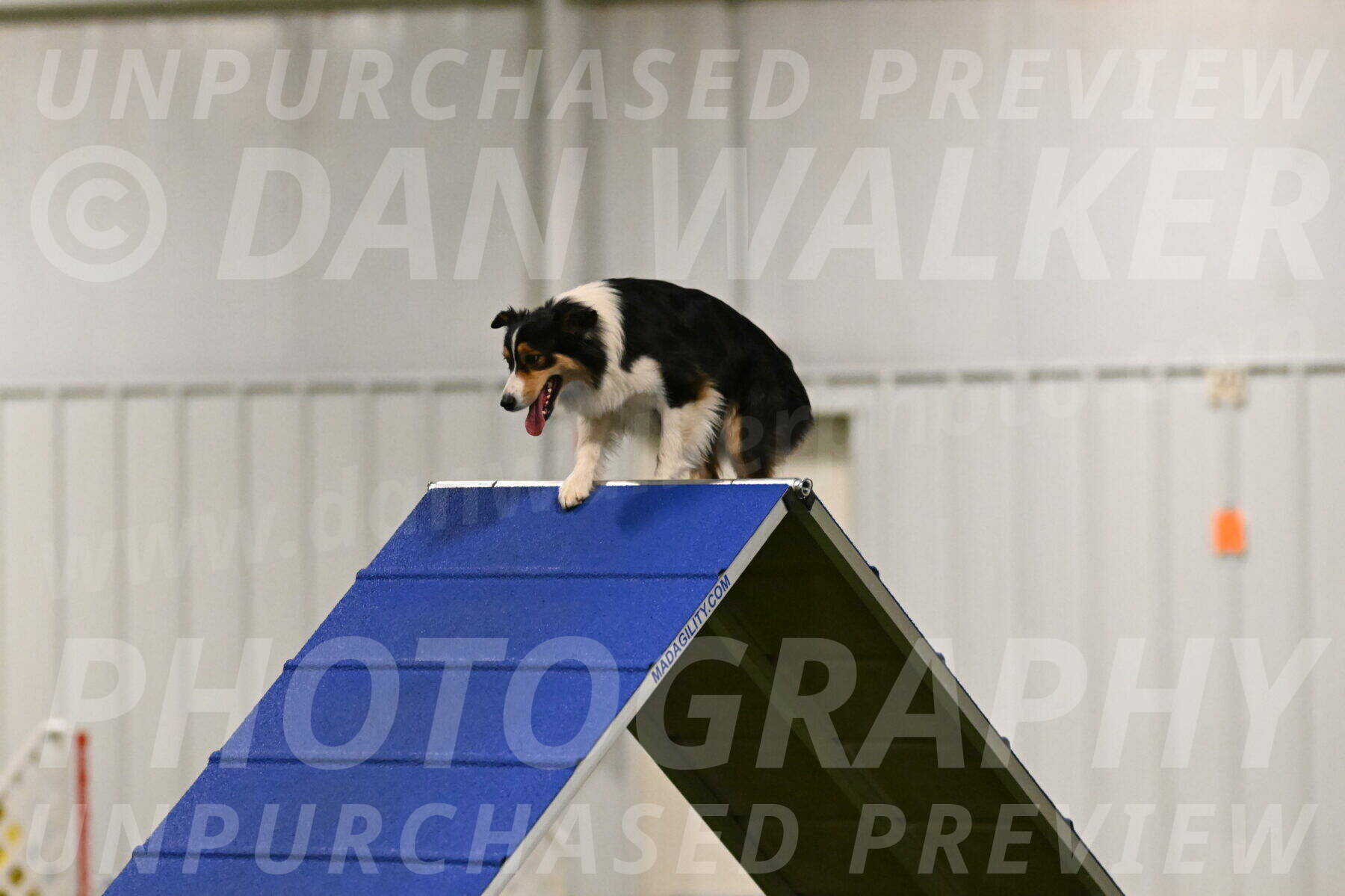 Lovey-Dovey-Yvette-Shipman-06666