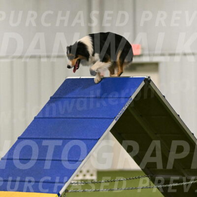 Lovey-Dovey-Yvette-Shipman-06667