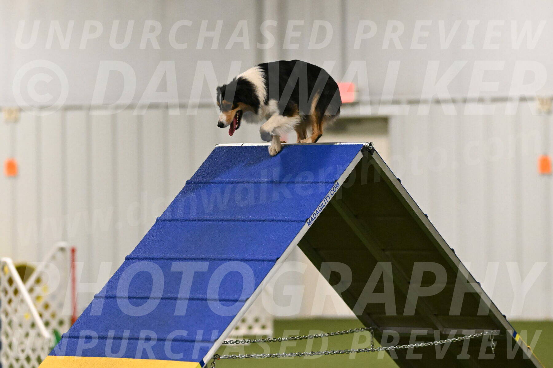 Lovey-Dovey-Yvette-Shipman-06667