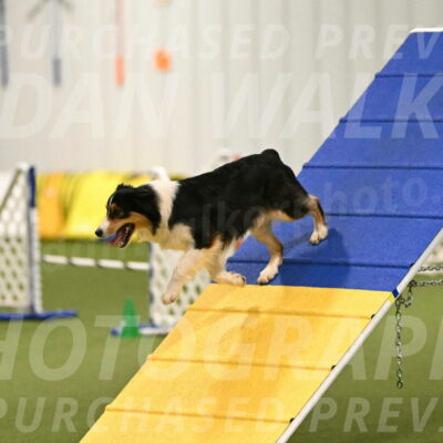 Lovey-Dovey-Yvette-Shipman-06668