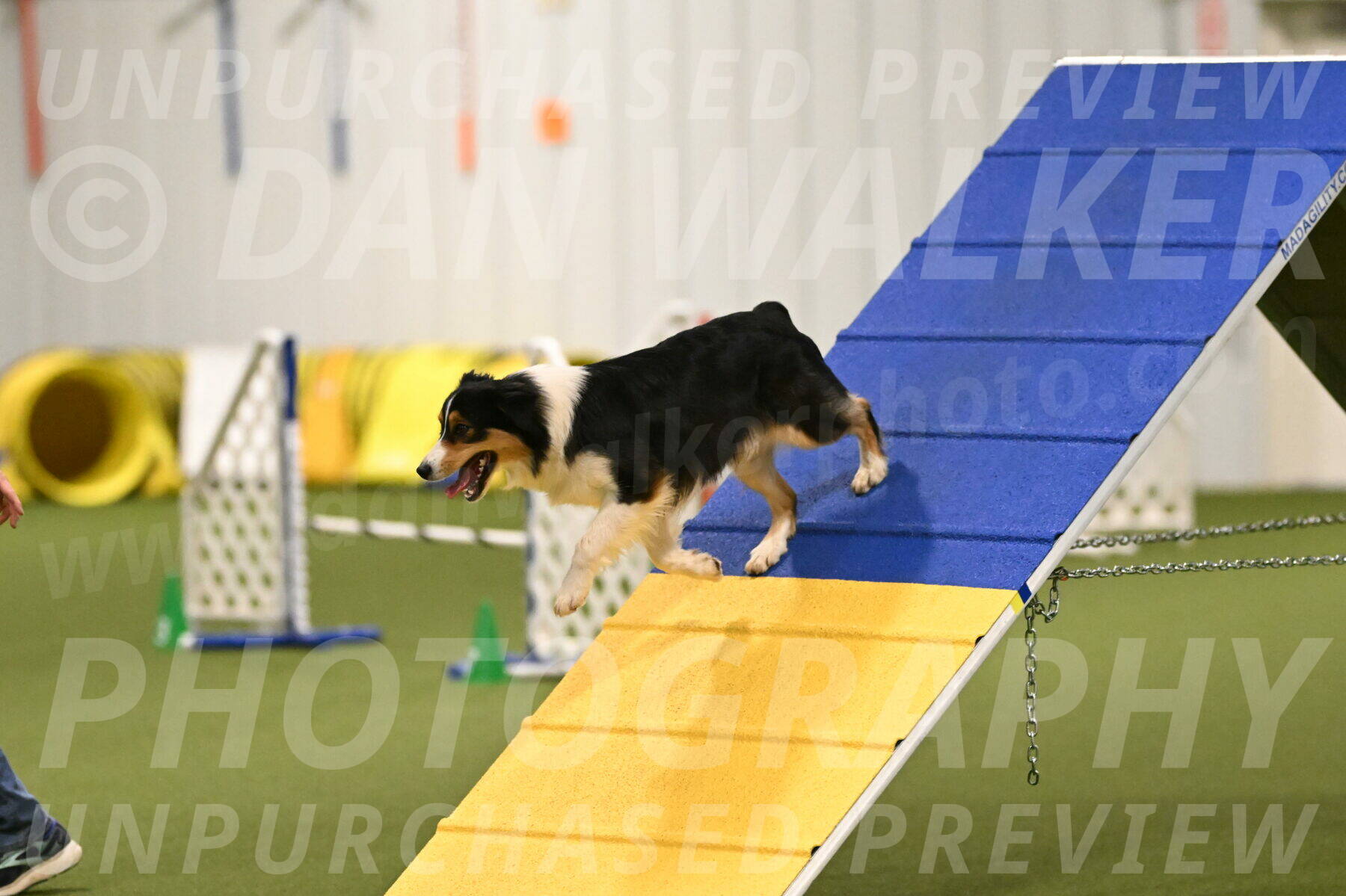 Lovey-Dovey-Yvette-Shipman-06668