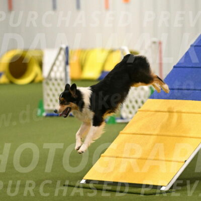 Lovey-Dovey-Yvette-Shipman-06669