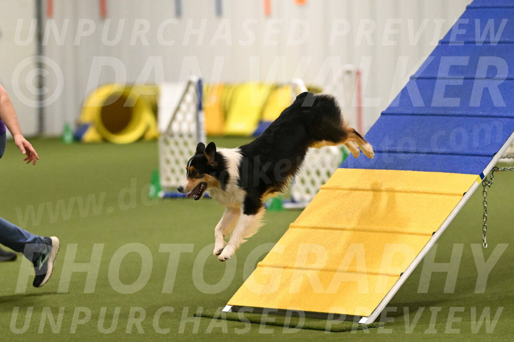 Lovey-Dovey-Yvette-Shipman-06669