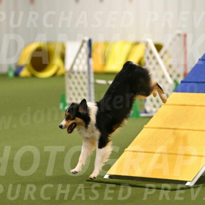 Lovey-Dovey-Yvette-Shipman-06670