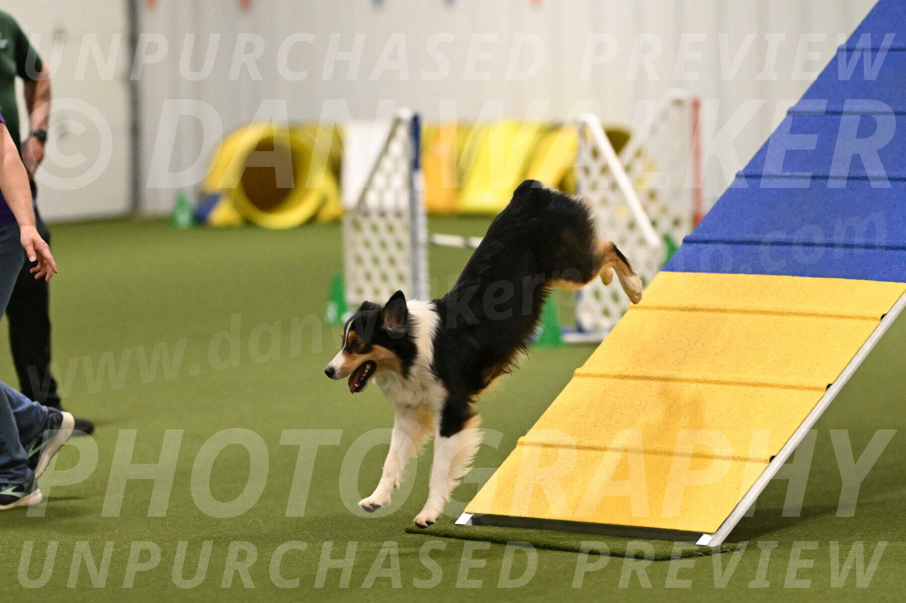 Lovey-Dovey-Yvette-Shipman-06670