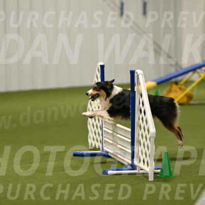 Lovey-Dovey-Yvette-Shipman-06671