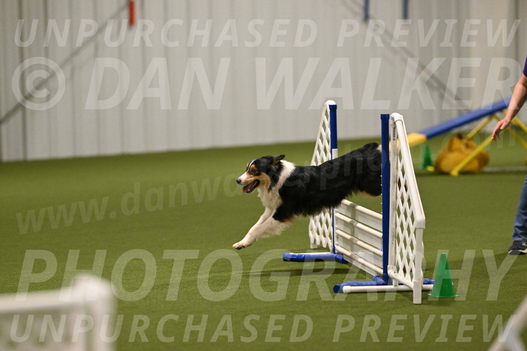 Lovey-Dovey-Yvette-Shipman-06672