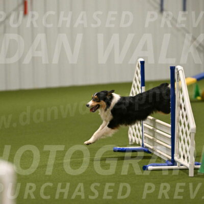 Lovey-Dovey-Yvette-Shipman-06672